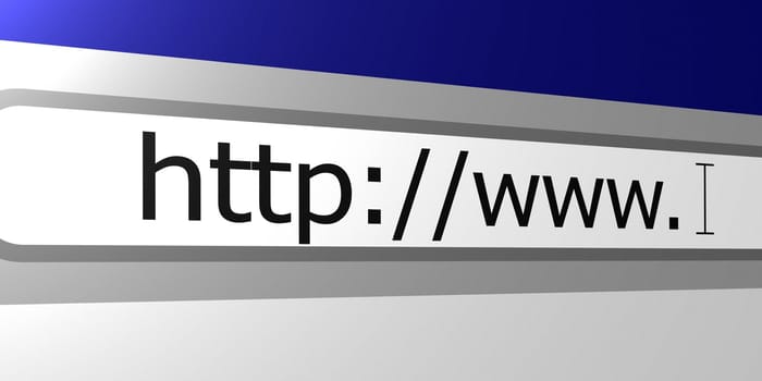 World wide web browser address line detail