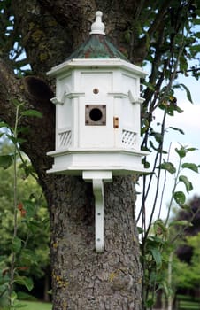 White bird house attached to tree in country garden