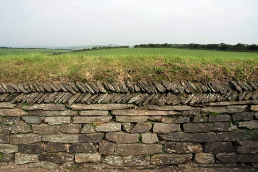 Dry-stone wall in farmland with grass growing on top