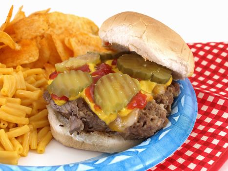 Delicious picnic barbecue fare; homestyle burger; macaroni and cheese; and chips. Served on a paper blue plate; with disposable plastic fork and knife.