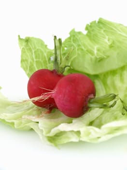 Two radishes and some lettuce studio isolated on a white background.