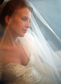 The beautiful bride is closed by a veil