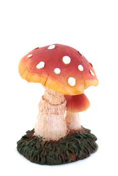 Toadstool with dots in front of a white background.          