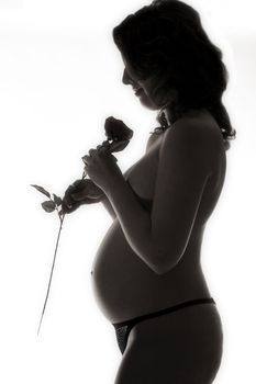 a silhouette of a pregnant woman with a rose