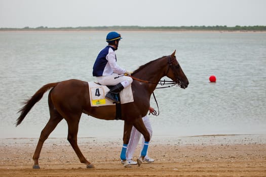 SANLUCAR DE BARRAMEDA, CADIZ, SPAIN - AUGUST 07: Unknown rider at the start of the horses races of the beach of Sanlucar de Barrameda on August 07, 2010 in Sanlucar de Barrameda, Cadiz, Spain.