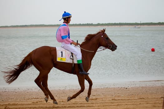 SANLUCAR DE BARRAMEDA, CADIZ, SPAIN - AUGUST 07: Unknown rider at the start of the horses races of the beach of Sanlucar de Barrameda on August 07, 2010 in Sanlucar de Barrameda, Cadiz, Spain.