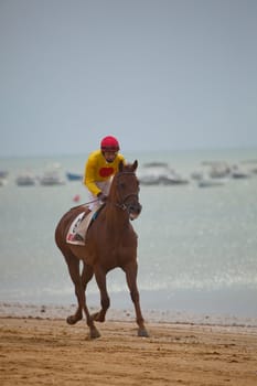 SANLUCAR DE BARRAMEDA, CADIZ, SPAIN - AUGUST 07: Unknown rider at the start of the horses races of the beach of Sanlucar de Barrameda on August 07, 2010 in Sanlucar de Barrameda, Cadiz, Spain.