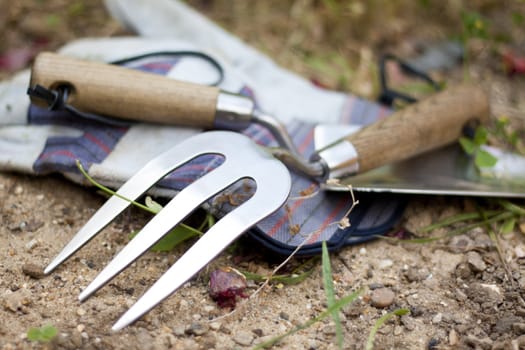 Garden tools: stainless steel trowel and rake and a pair of gloves.