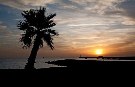 Sunset in Almeria (south-east coast of Spain) with the silhouette of a palmtree in the foreground and of a lighthouse in the background.