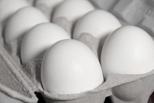 Fresh white eggs inside an egg carton box