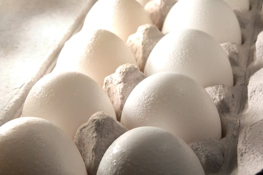 Fresh white eggs inside an egg carton box