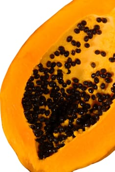 Papaya fruit with many seeds on white background 