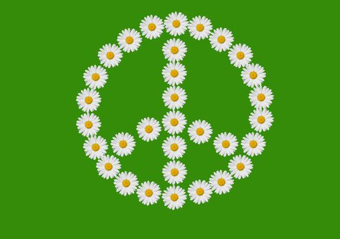 the symbol "peace and love" made with daisies flowers