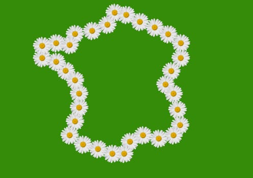 Map of France drawn with daisies