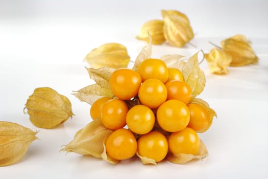 A bunch of vitamin-packed orange physalis with single fruits on white (Selective Focus) 