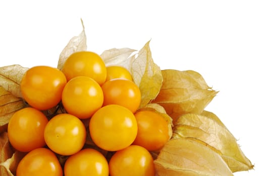 A bunch of vitamin-packed orange physalis isolated on white (Selective Focus) 