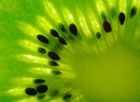 Macro shot of a kiwi slice