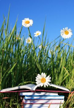 Stack of books on summer background with grass, ox-yey daisy flowers and blue sky