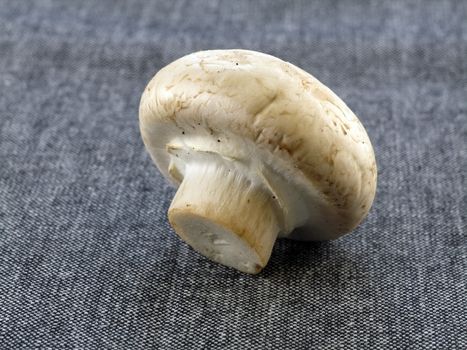 food series: fresh mushrooms isolated on solid background