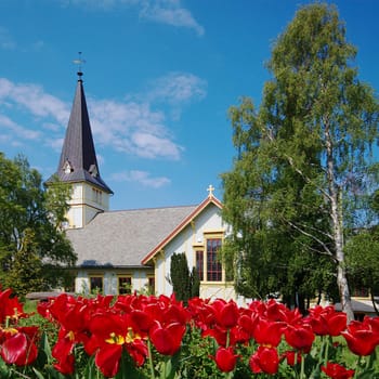 A white wooden church in Grimstad with red tulips in the foreground, in the South of Norway 