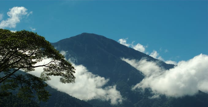 Mountain peak with clouds and the silhouette of a tree in the foreground in Northern Colombia