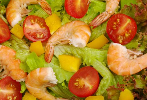 Appetizer: King prawn salad with lettuce, yellow bell pepper, cherry tomato (Selective Focus)