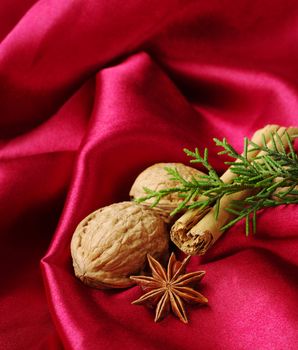 Star anise, walnuts, cinnamon and a branch of evergreen on red fabric (Selective Focus)