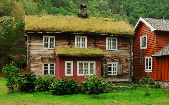 The roof of an old house covered by grass in Norway. This practice is typical for the region due to its isolative effects