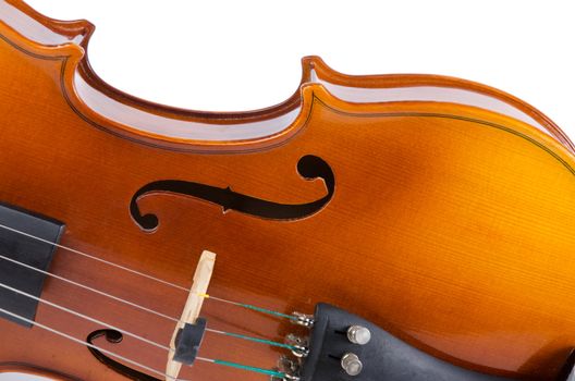 Violin close up isolated on white background.