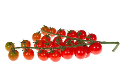 red tomatoes photo on the white background