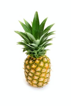 ripe pineapple, photo on the white background