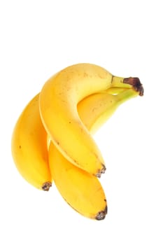 Bunch of bananas, photo on the white background