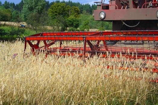 combine harvester in track of work gatherings of cereal