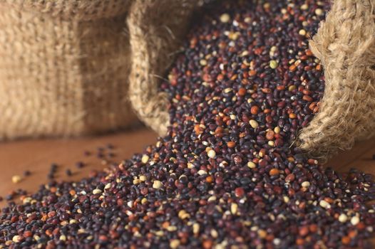 Raw red quinoa grains in jute sack on wood. Quinoa is grown in the Andes and is valued for its high protein content and nutritional value (Selective Focus, Focus on the quinoa at the right sack opening running through the picture to the left corner)