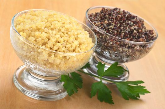 Cooked white and red quinoa in glass bowls which can be eaten as a side dish like rice and is rich in proteins with a parsley leaf on wood (Selective Focus, Focus on the front of the white quinoa) 