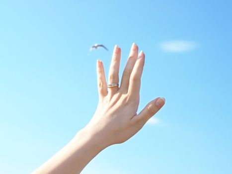Married woman reaching towards fresh blue sky