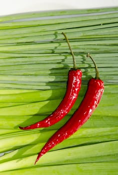 Two slim red peppers on row of green orions.