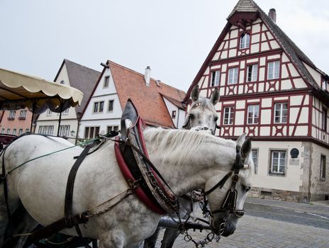 Horse Carriage and Frame Houses in Rothenburg, Germany