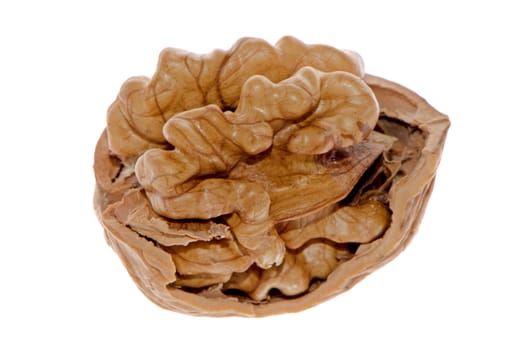 Crack walnut isolated on a white background.