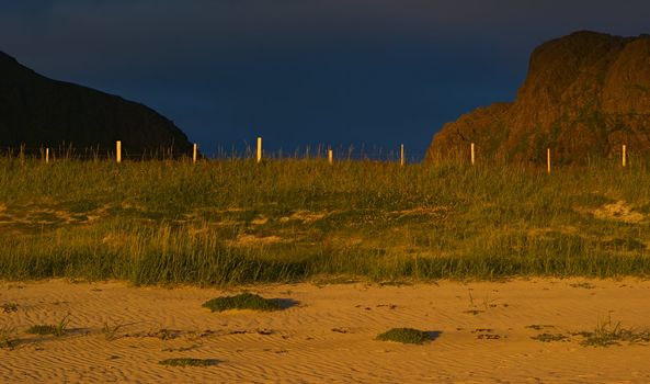 Beach on the Lofoten, Norway close to Flakstad lit by the warm light of the low-standing midnight sun in July