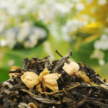 Loose green tea with jasmine flowers with some white flowers in the background (Selective Focus, Focus on the front of the loose tea and the jasmine flowers) 