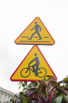 Road signs, pedestrian walkway and bicycle path. Creeper vine.