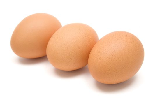 Three animal eggs in a row. White background.