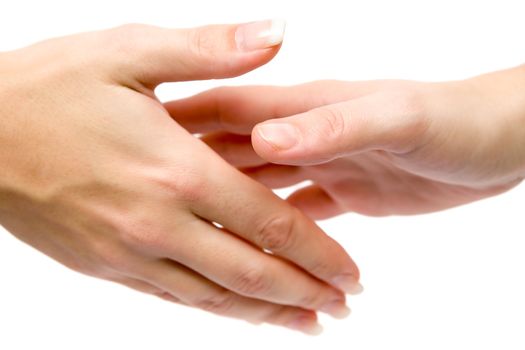Handshake isolated on a white background.