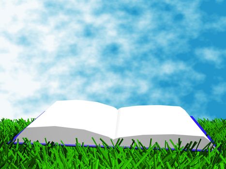 The book on the grass against a backdrop of sky