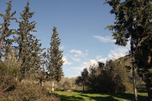 walk in nature enviornmental concepts for background use with copy-space horizontal