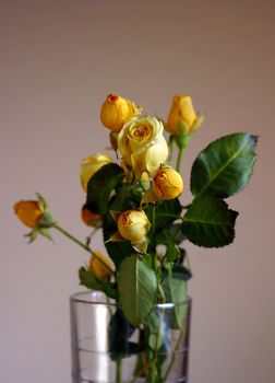 Small roses in a glass glass