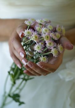Bouquet from small chrysanthemums in female hands