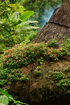 Pink flowers on the thatched roof of a kogi hut in Northern Colombia built in the traditional style of the Tayrona