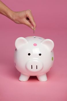 Pink piggy bank coin money